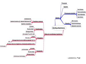 Introduction Support de révision TD Génétique TD 3 La Génétique